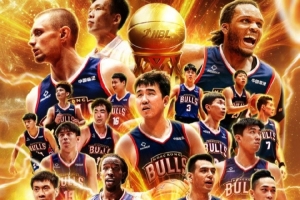 的执行和不 的执行和不