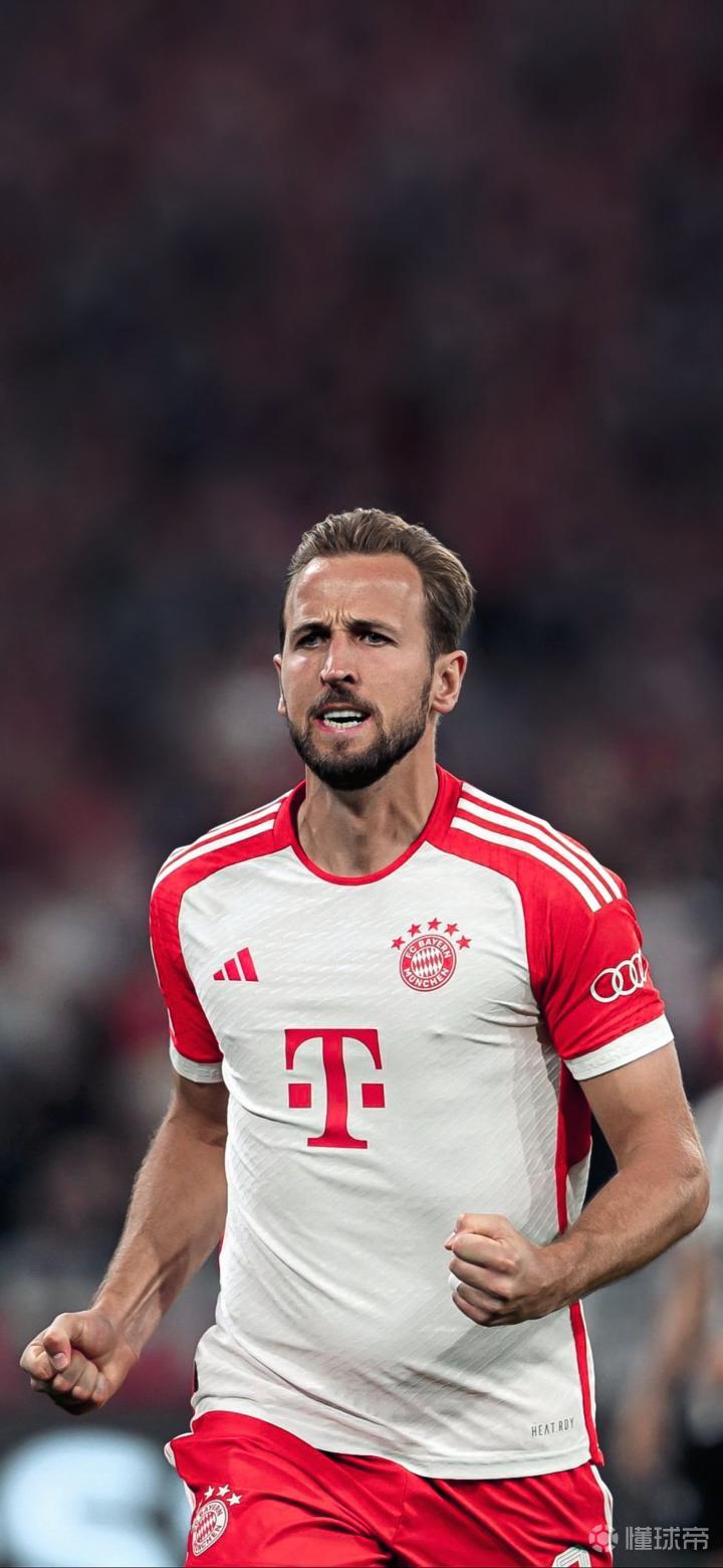 球迷的期待 球迷的期待